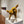 Load image into Gallery viewer, Shake It Off