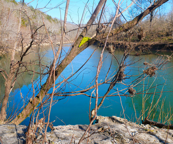Chartreuse Harpeth small framed