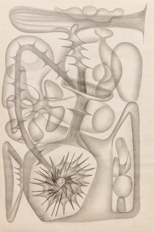 The Lugubrious Ikebana