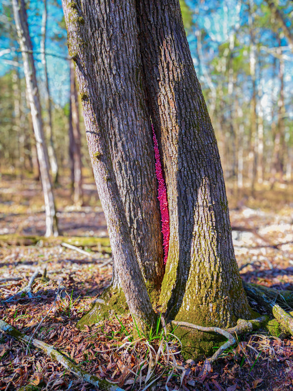 Pink Secret small framed
