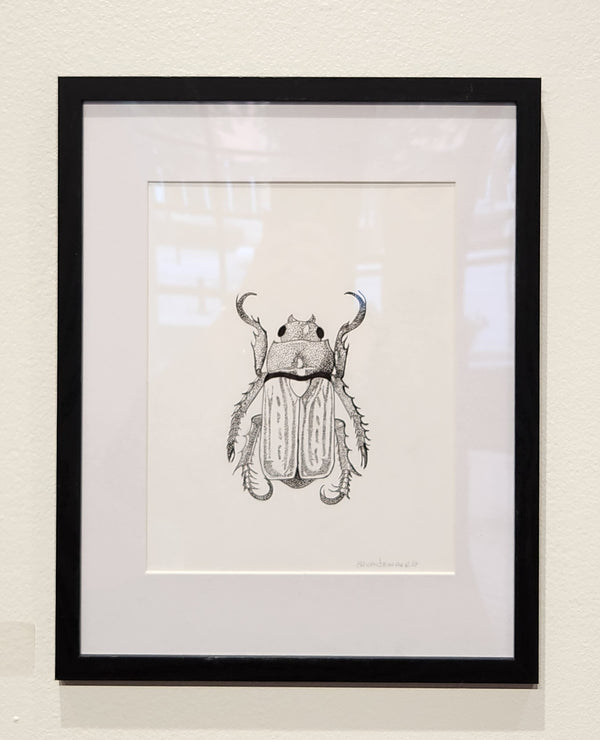 Scarab Beetle